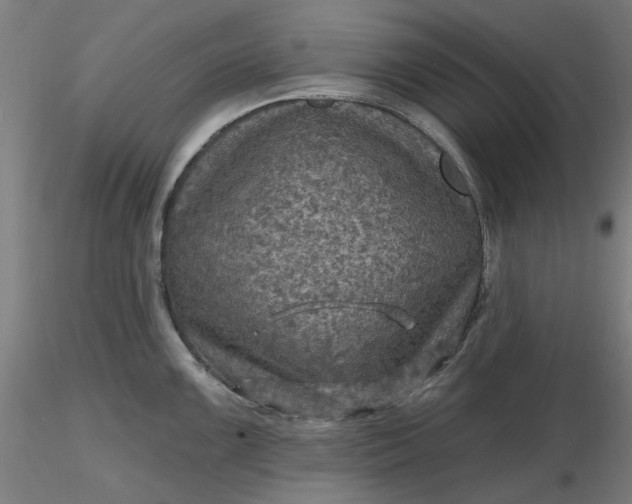 X0000116491099200912231146