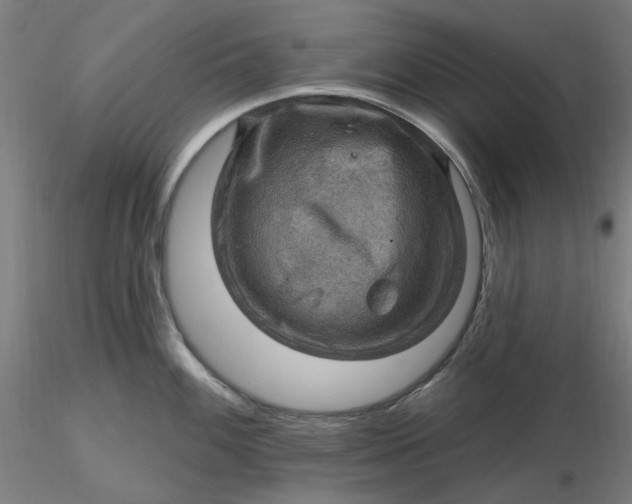 X0000116491100200912231146