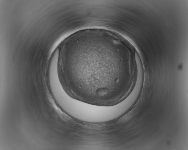 X0000116491101200912231146