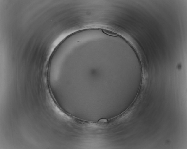 X0000116491102200912231146