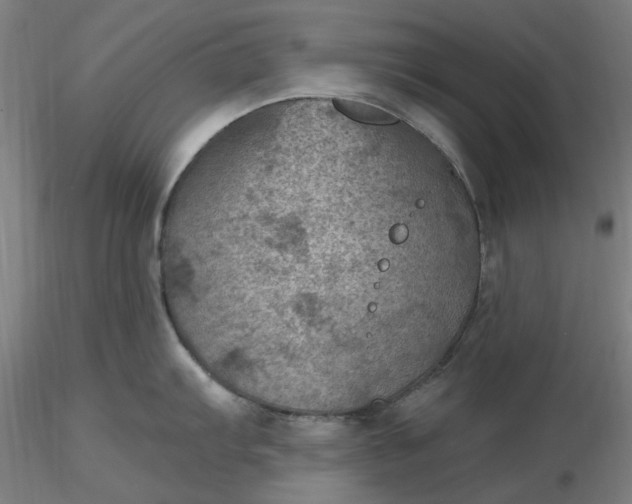 X0000116491103200912231146