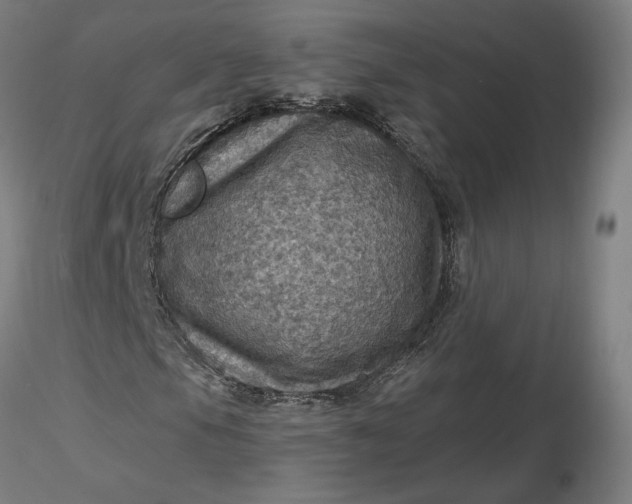 X0000116491105200912231145