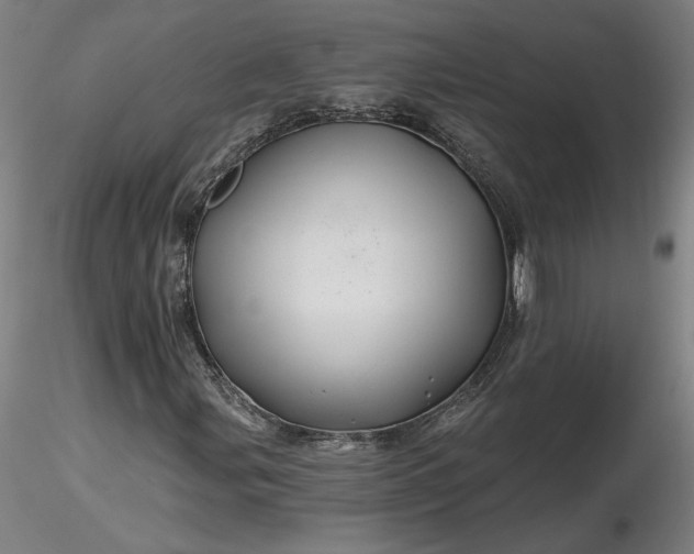 X0000116491107200912231145