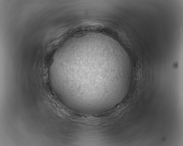 X0000116491109200912231145