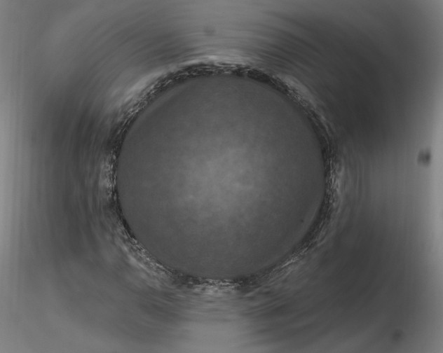 X0000116491110200912231145