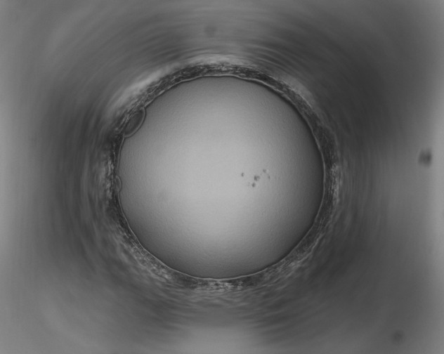 X0000116491111200912231145