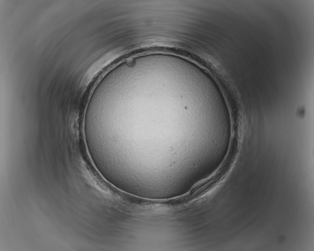 X0000116491113200912231145