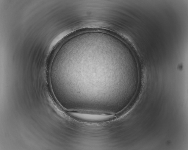 X0000116491114200912231146