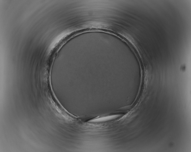 X0000116491115200912231146