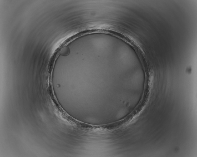 X0000116491117200912231146