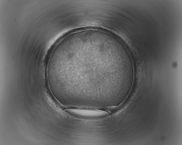 X0000116491118200912231146