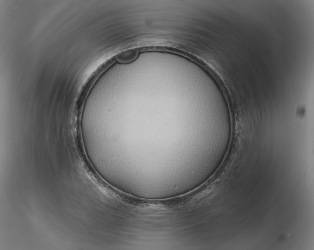 X0000116491119200912231146