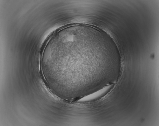 X0000116491123200912231146