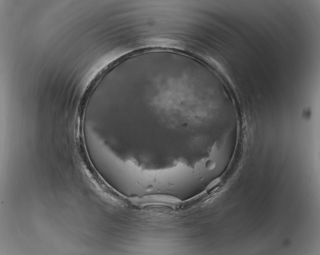 X0000116491125200912231146