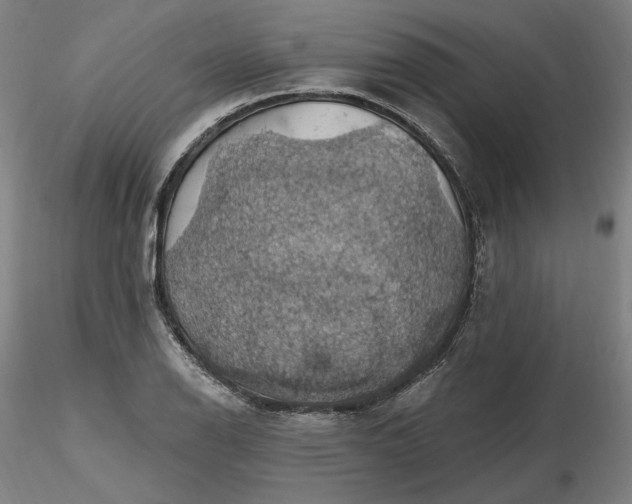 X0000116491126200912231146