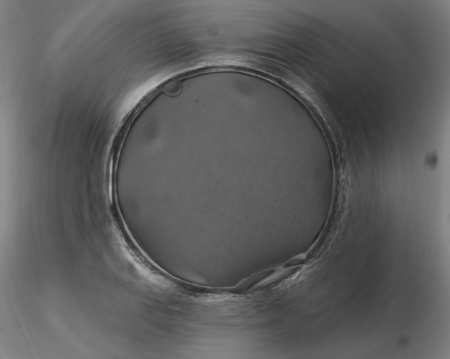 X0000116491127200912231146