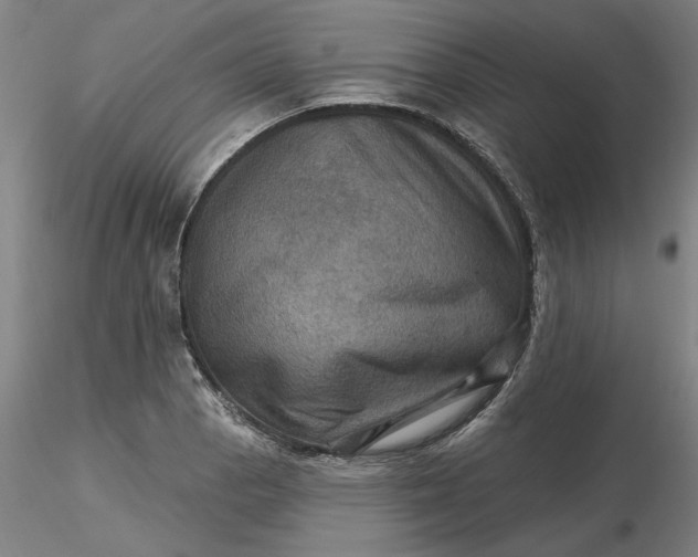 X0000116491129200912231146