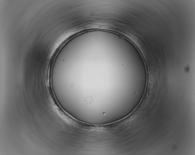 X0000116491131200912231146