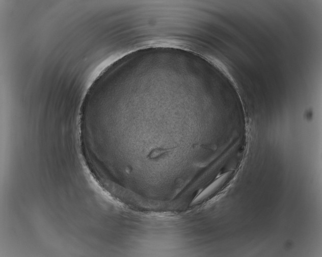 X0000116491133200912231146