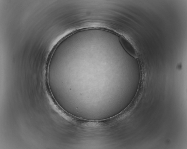 X0000116491134200912231146