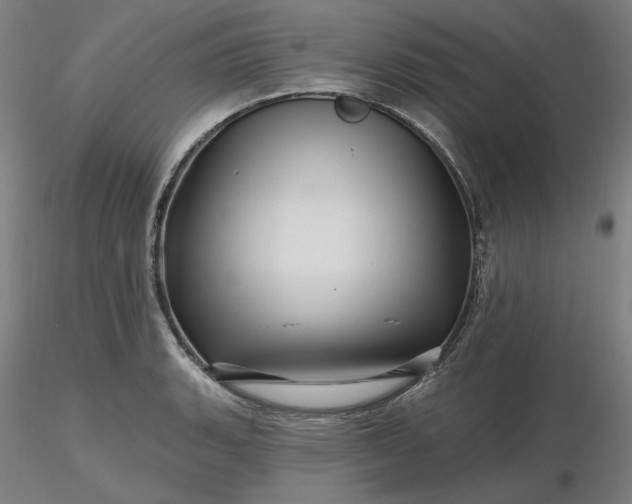 X0000116491135200912231146