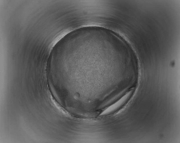 X0000116491137200912231146