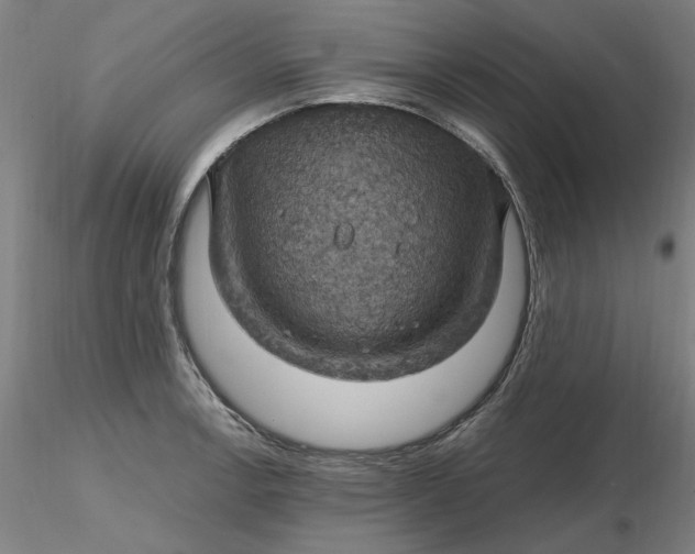 X0000116491138200912231146