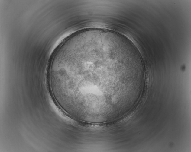 X0000116491139200912231146