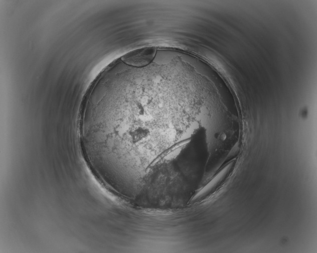 X0000116491141200912231146