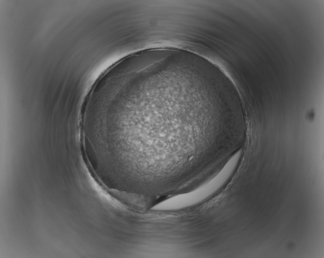 X0000116491143200912231146