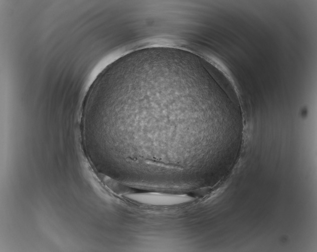 X0000116491146200912231146