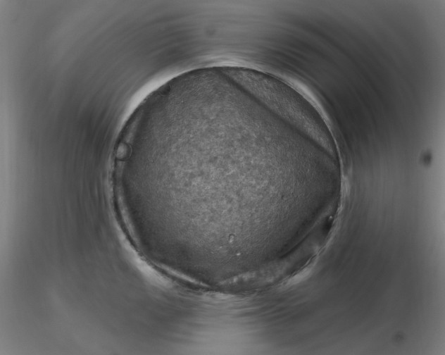 X0000116491149200912231146