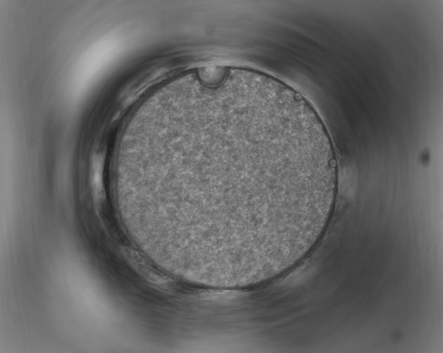 X0000116491150200912231146