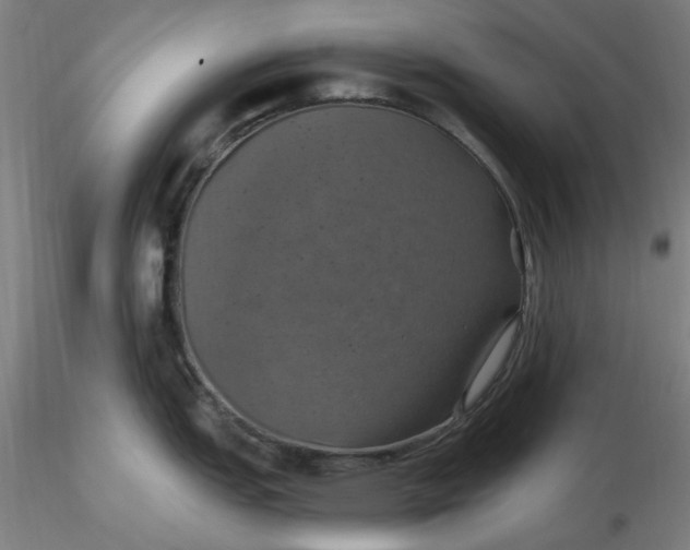 X0000116491151200912231146