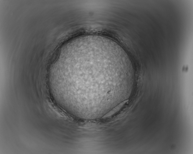 X0000116491153200912231145