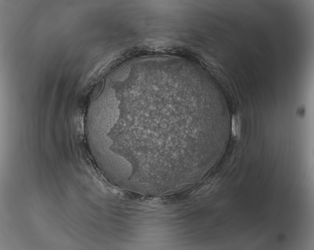 X0000116491155200912231145