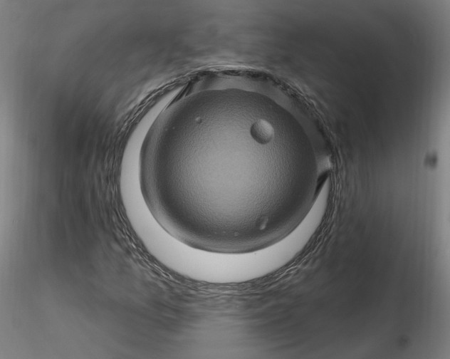 X0000116491157200912231145