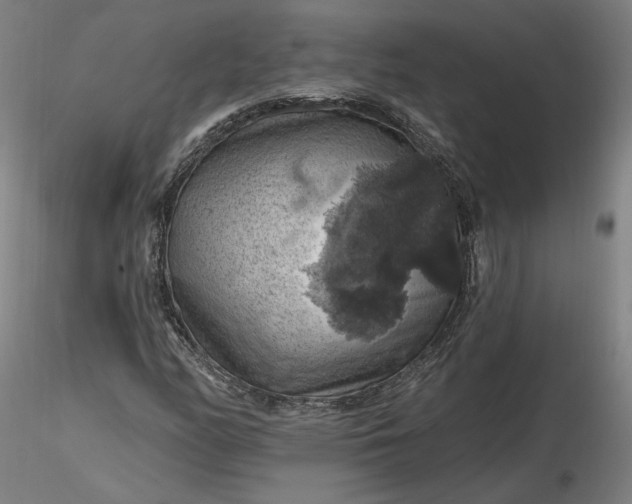 X0000116491158200912231145