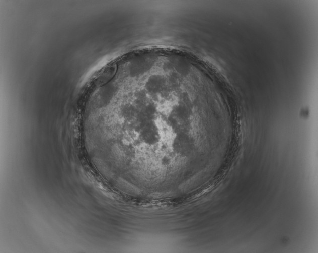 X0000116491159200912231145