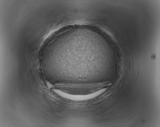 X0000116491160200912231145