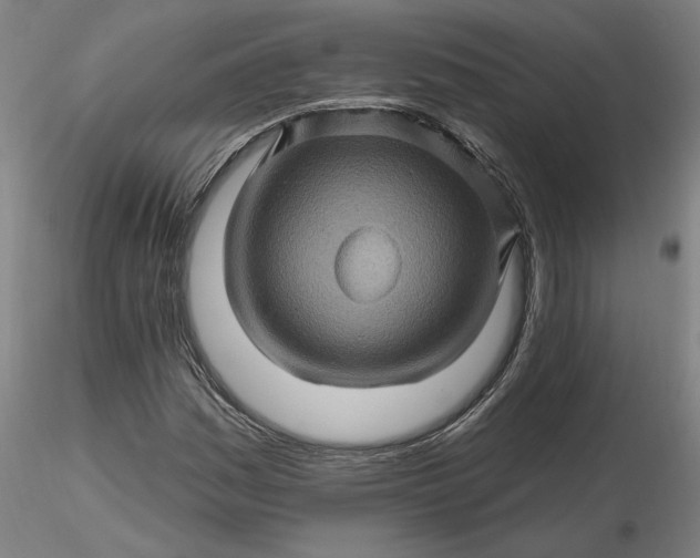 X0000116491161200912231145