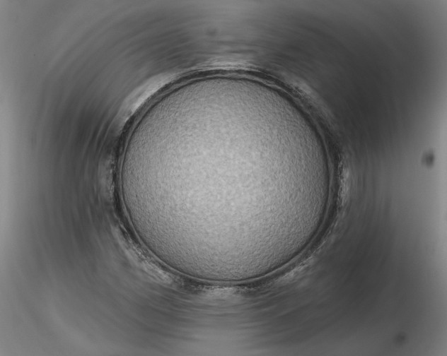 X0000116491162200912231145