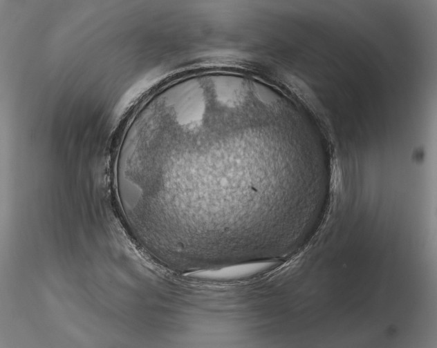 X0000116491164200912231145