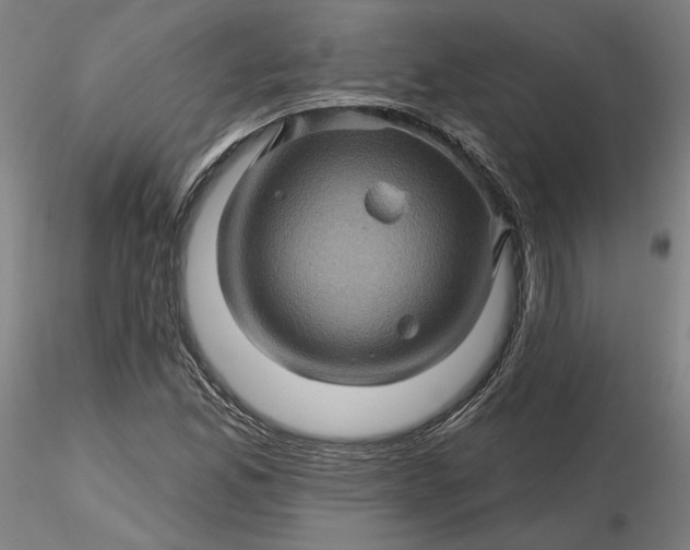 X0000116491165200912231145