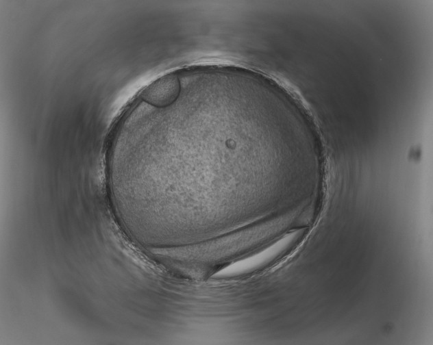 X0000116491167200912231145