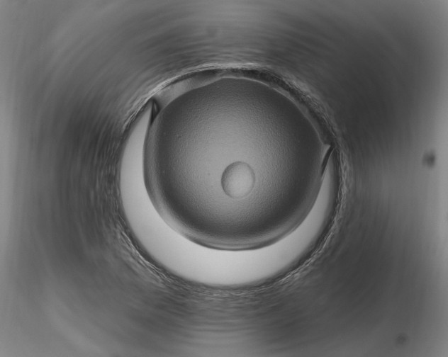 X0000116491169200912231145