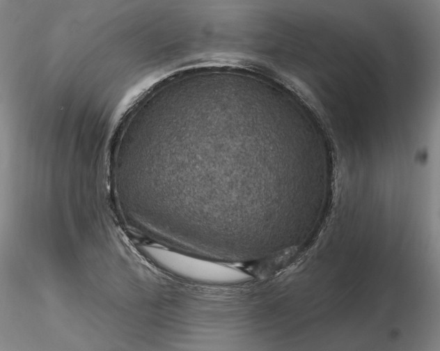 X0000116491172200912231145