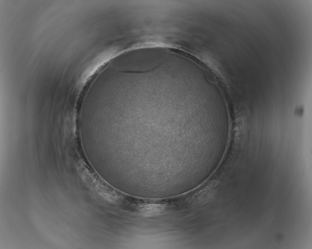 X0000116491173200912231145