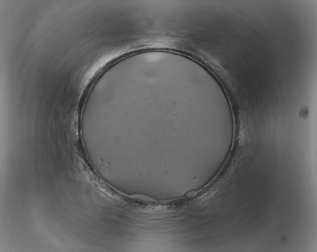 X0000116491174200912231145