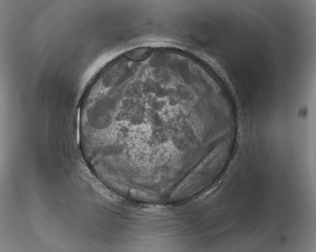 X0000116491175200912231145